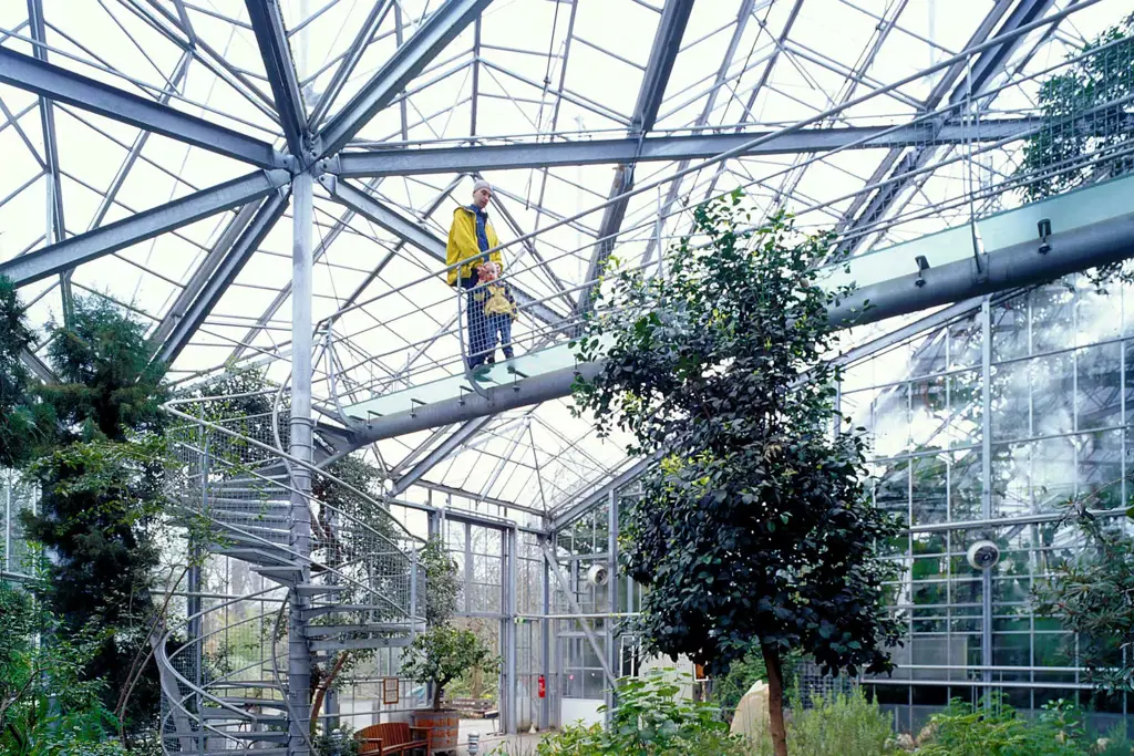 de_hortus_botanicus_amsterdam_zja_copyright_rob_t_hart_08