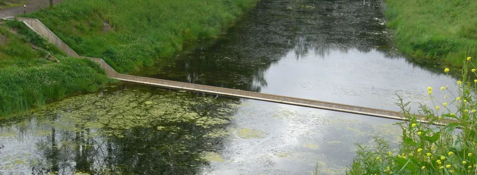 Mozesbrug