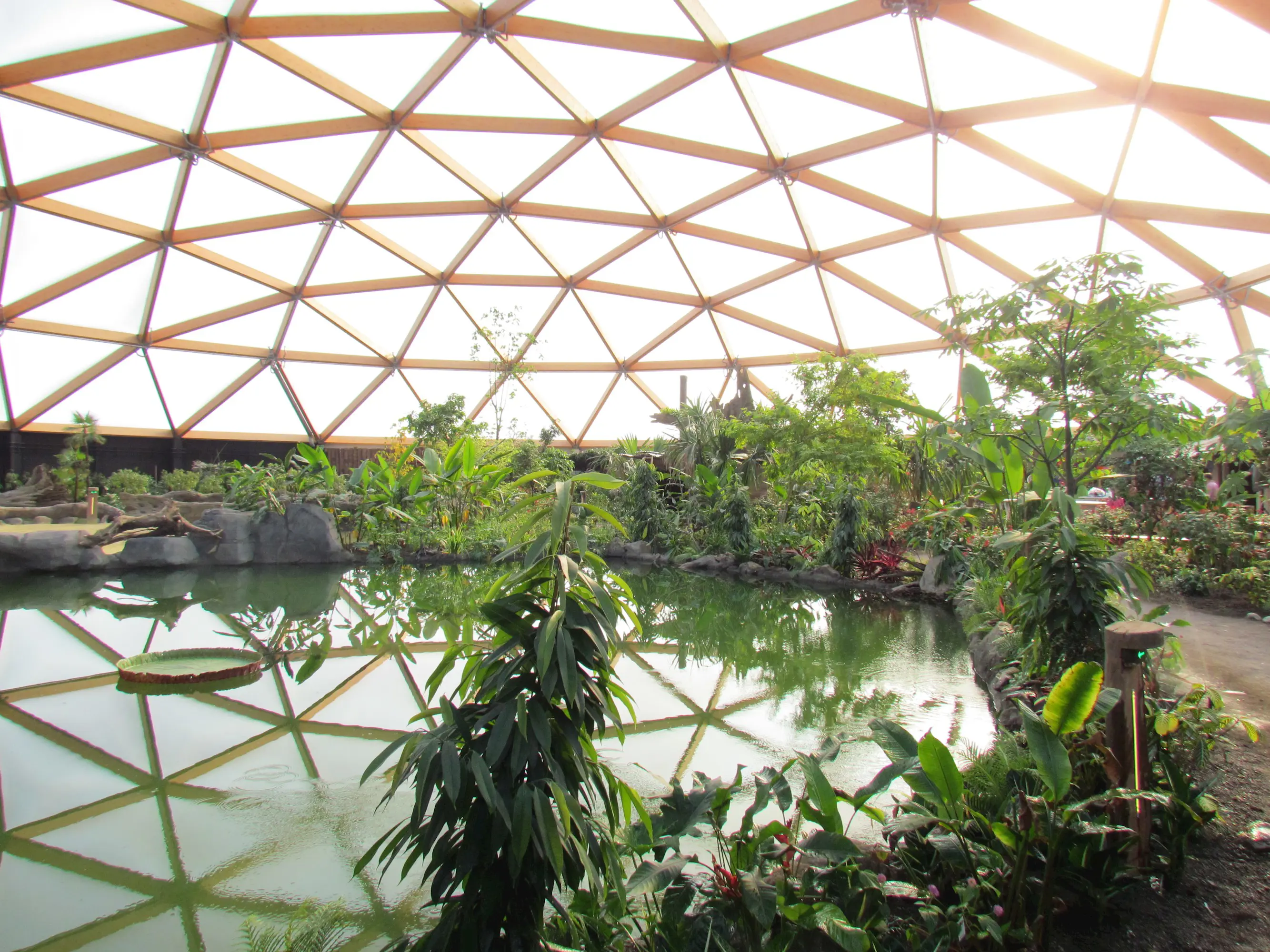 Amazonica Diergaarde Blijdorp