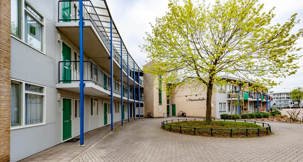 hofswart1